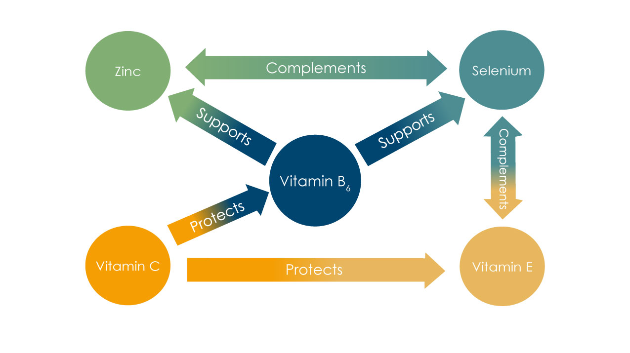 l-carnitine+zinc+vitamin c & e+selenium Medfertil for Men Dietary Supplement (90 ct) with L-Carnitine, Vitamin C, E, B12, Folate, Zinc, Selenium, and Co-Q10 / Once a Day Tablet/ 3 Month Supply/Elan Healthcare : Health Household The Vitamin K2 And D3 Supplement with N Selenium & Zinc Supplement |