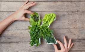 Vitamin K: A Forgotten Vitamin?