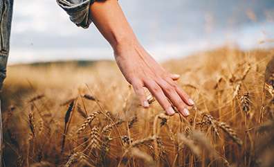 The majority of Europeans get far too little of this vital nutrient 