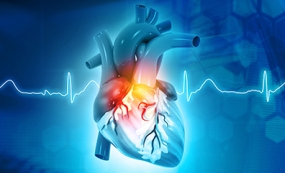 Supporting heart health: 5 tips from a Nutritionist