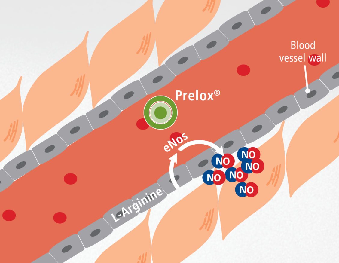 Prelox Bloodstream