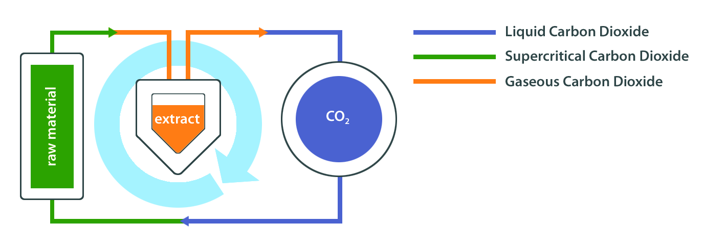 Pharma Nord Extraction Process