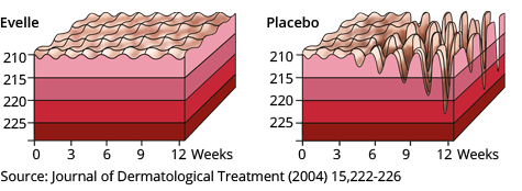 Evelle Graph