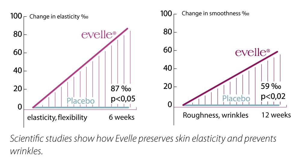 Evelle Graph