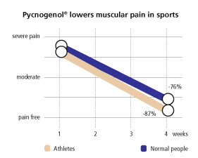 Pycnogenol Lowers Muscular Pain In Sports